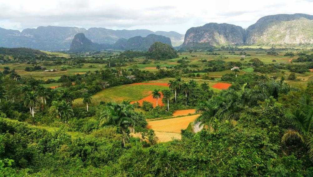 vinales